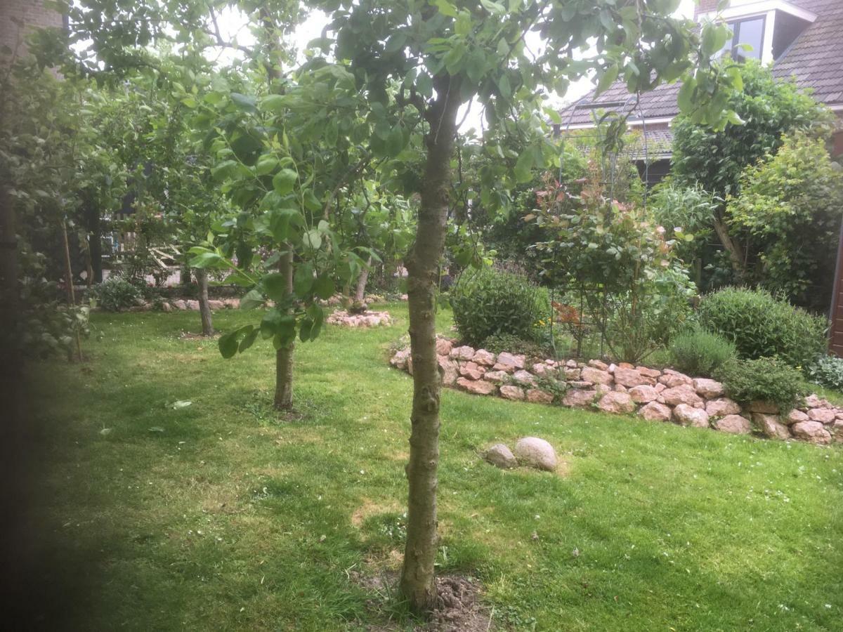B & B Zazza Raerd Dış mekan fotoğraf